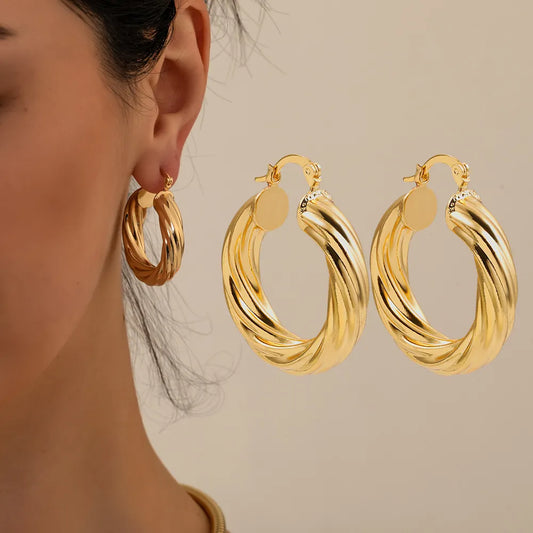 New Trendy Geometric Twisted Thick Hoop Earrings Fashion Gold Color Big Round Circle Earrings for Women Punk Hiphop Jewelry Gift - Lavishic